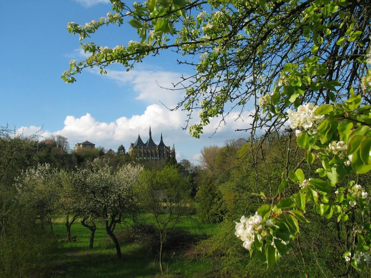 Penzion Art Kutná Hora Extérieur photo
